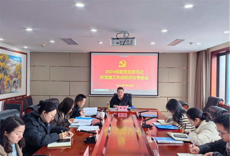 集團(tuán)公司召開2024年度黨支部書記抓黨建工作述職評議會