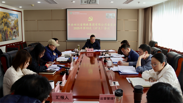 集團(tuán)公司召開2025年第10次黨委（擴(kuò)大）會議