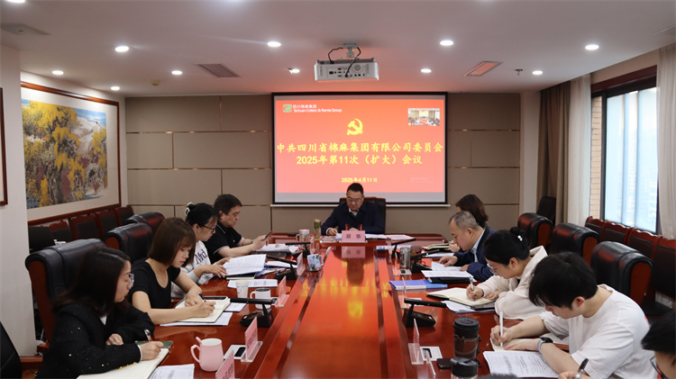 集團(tuán)公司召開2025年第11次黨委（擴(kuò)大）會議