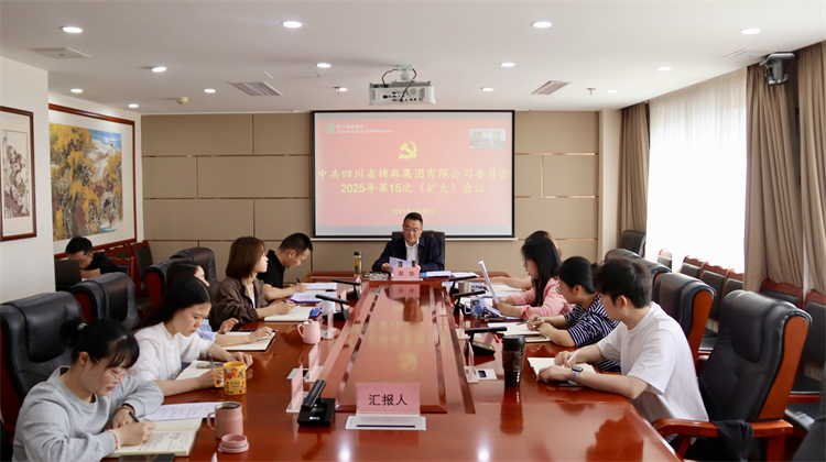 集團(tuán)公司召開2025年第15次黨委（擴(kuò)大）會(huì)議